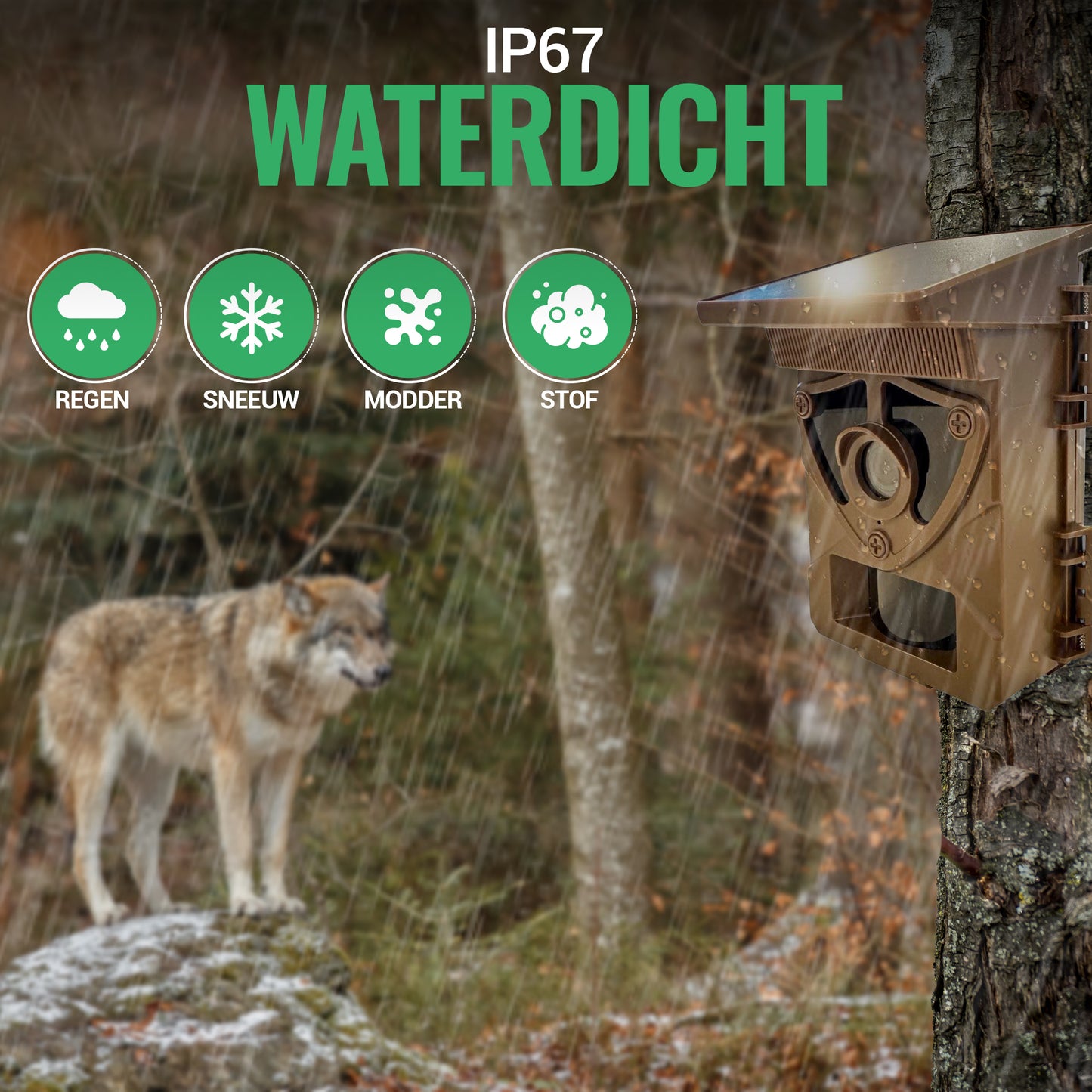 Berrot® Wildcamera Solara